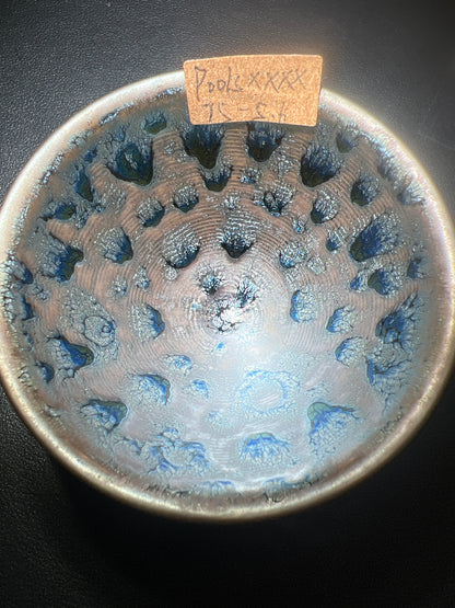 Poolsxxfools (April)