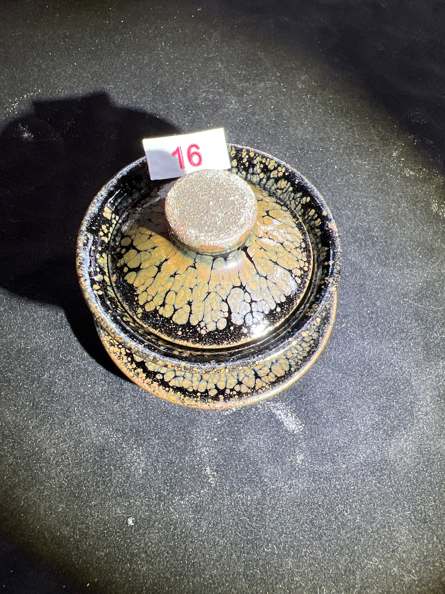 Camillexxx (February)