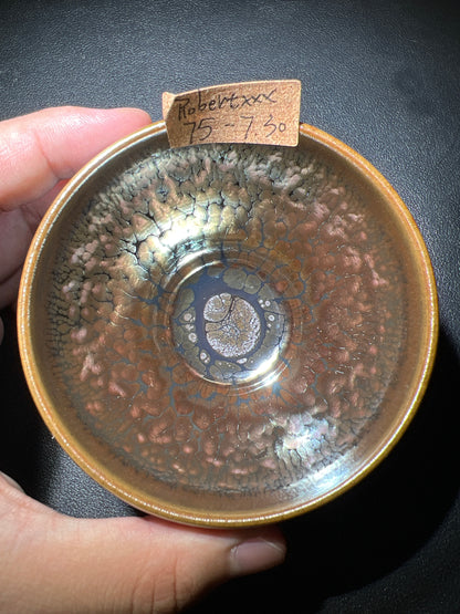 Robertxxx (New - May)