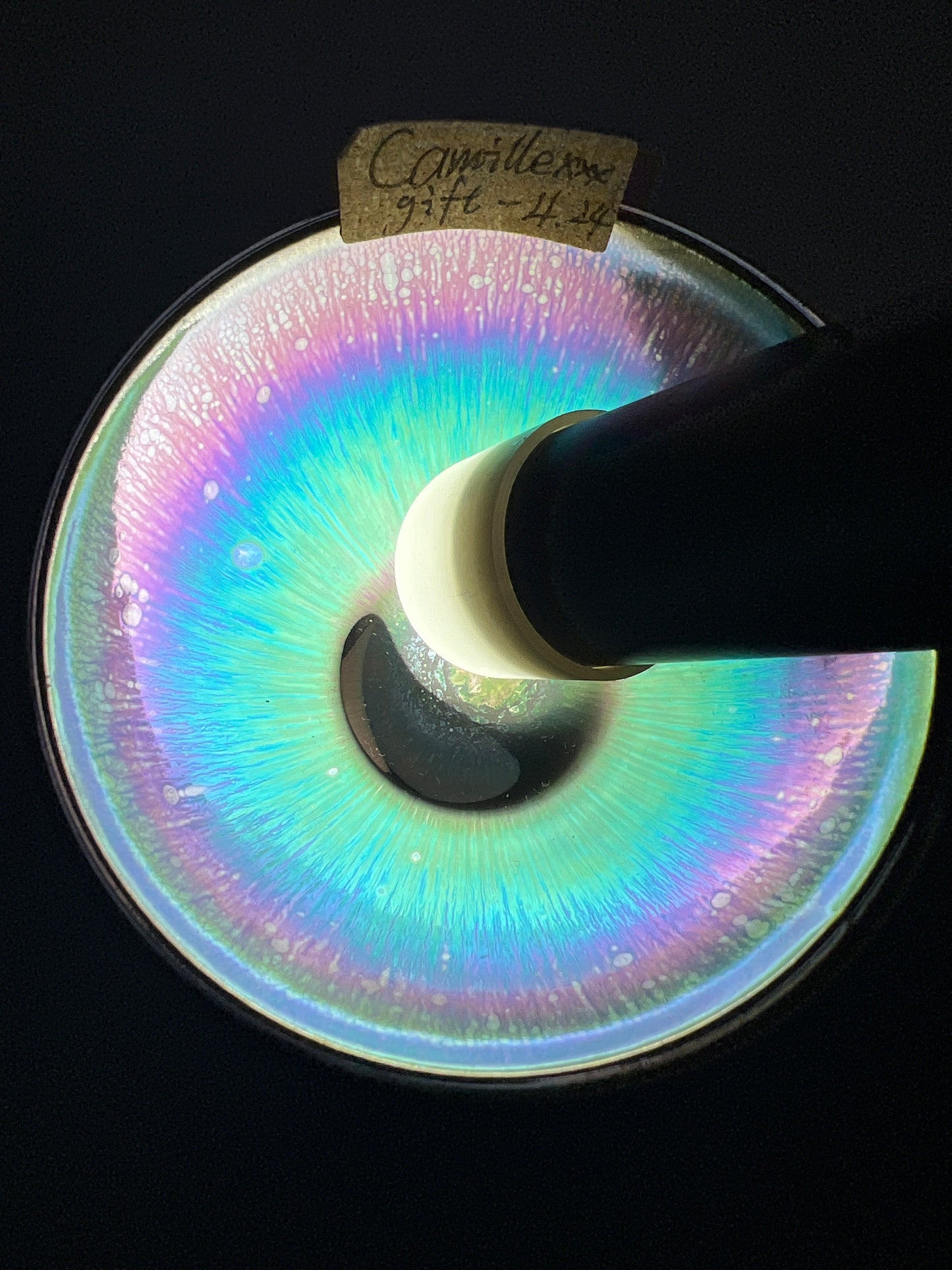 Camillexxx (February)