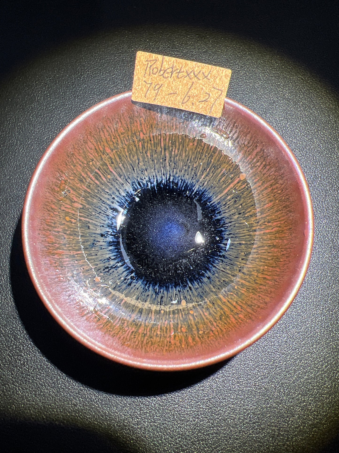 Robertxxx (New - May)