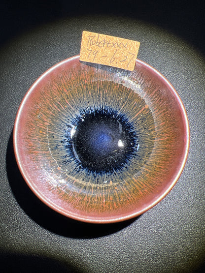 Robertxxx (New - May)