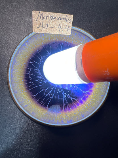 Monroexxxxles (March)