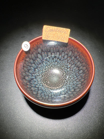 Camillexxx (February)