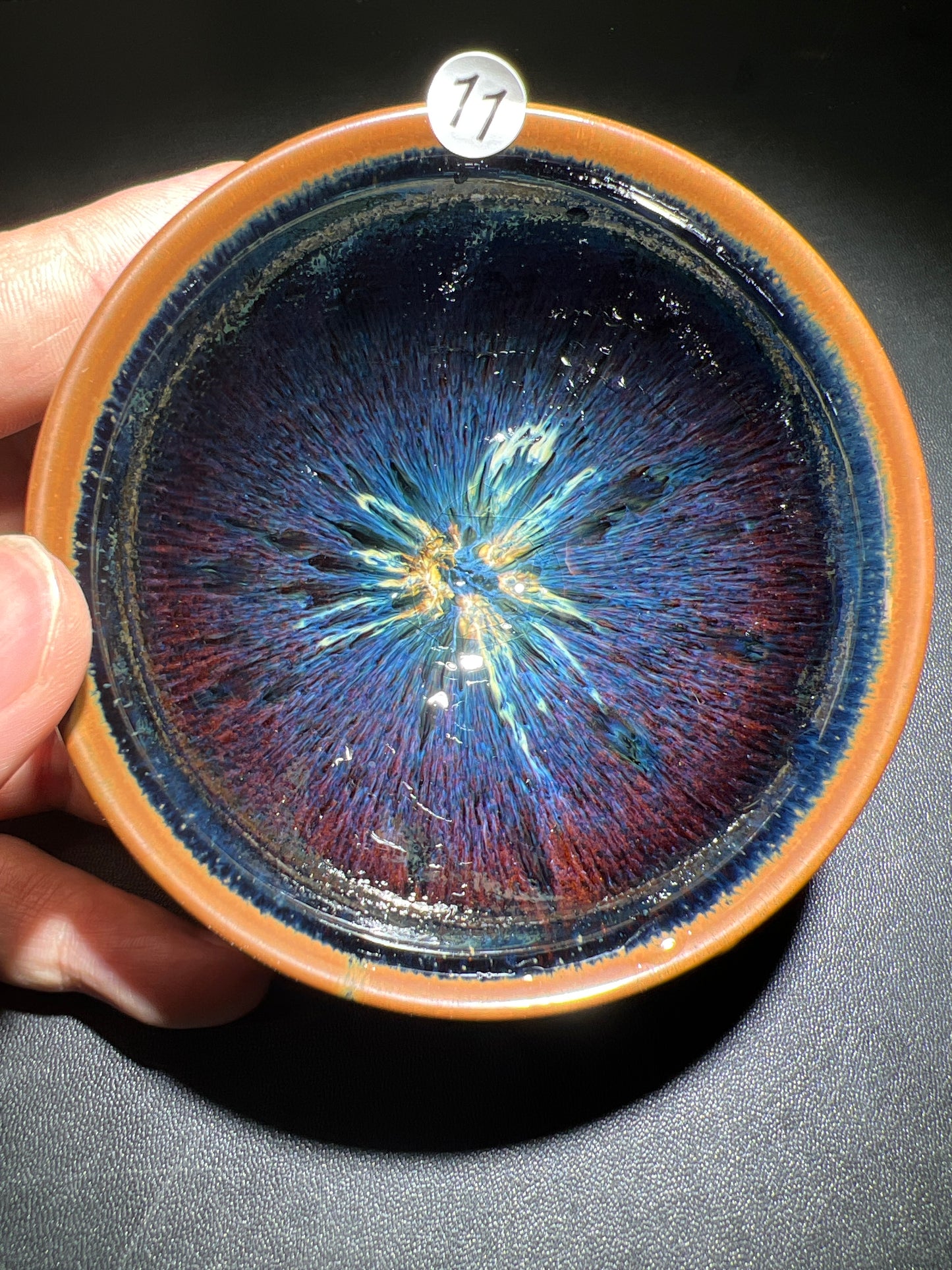 Robertxxx (New - May)