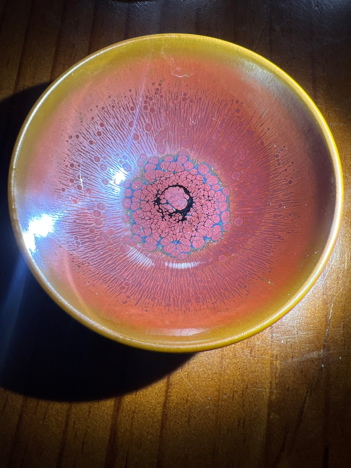 Camillexxx (February)