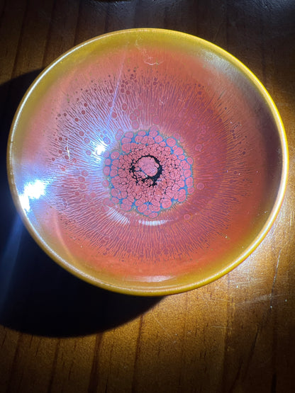 Camillexxx (February)