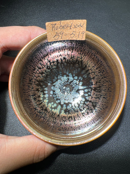 Robertxxx (New - May)