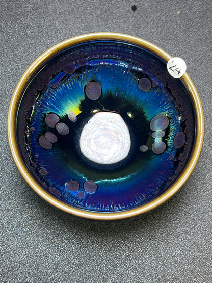 Robertxxx (New - May)