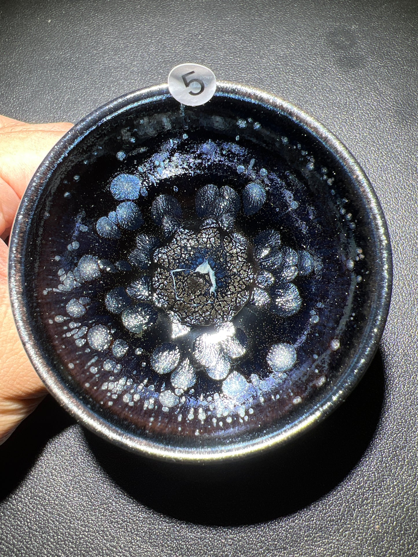 Robertxxx (New - May)