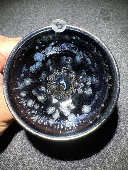 Robertxxx (New - May)