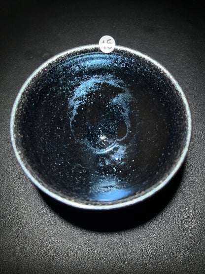 Master Zhao (November 12)