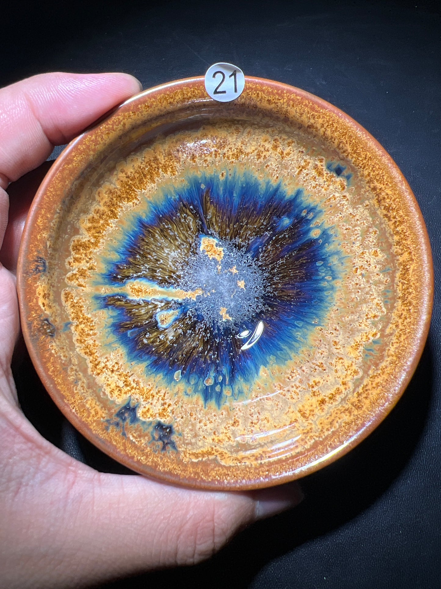 Robertxxx (New - May)