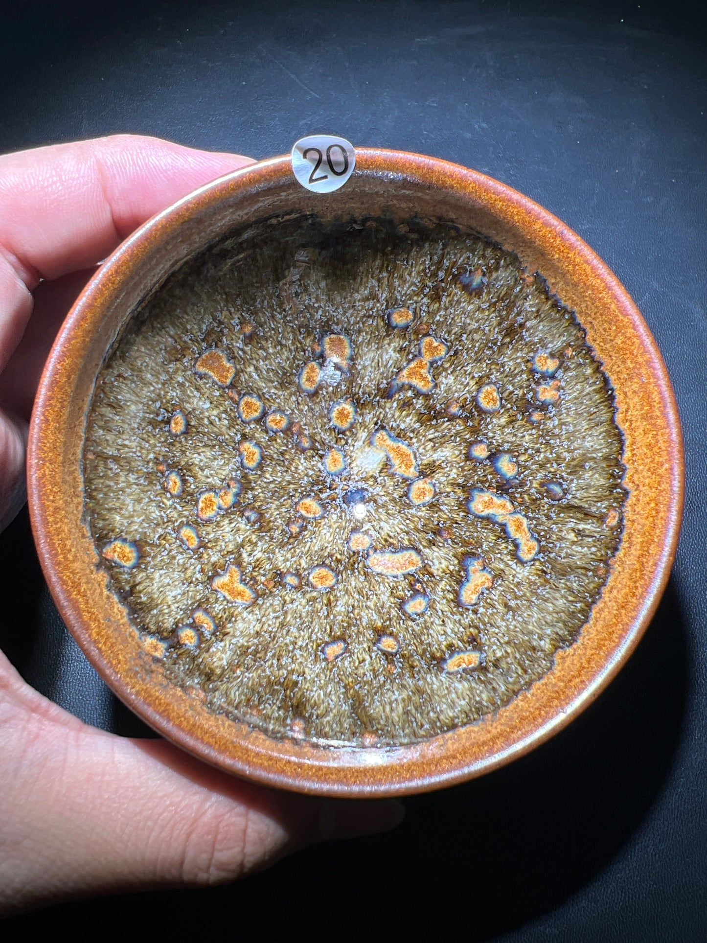 Robertxxx (New - May)