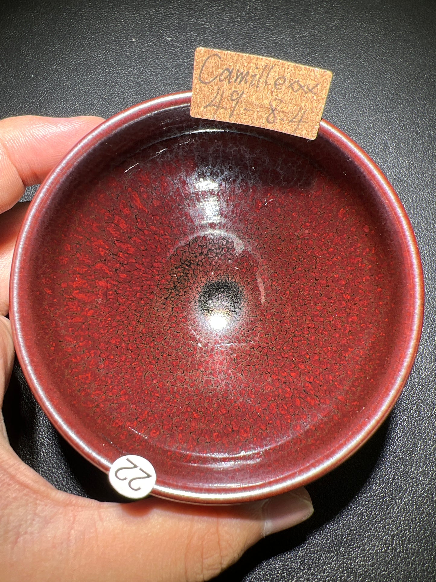 Camillexxx (February)