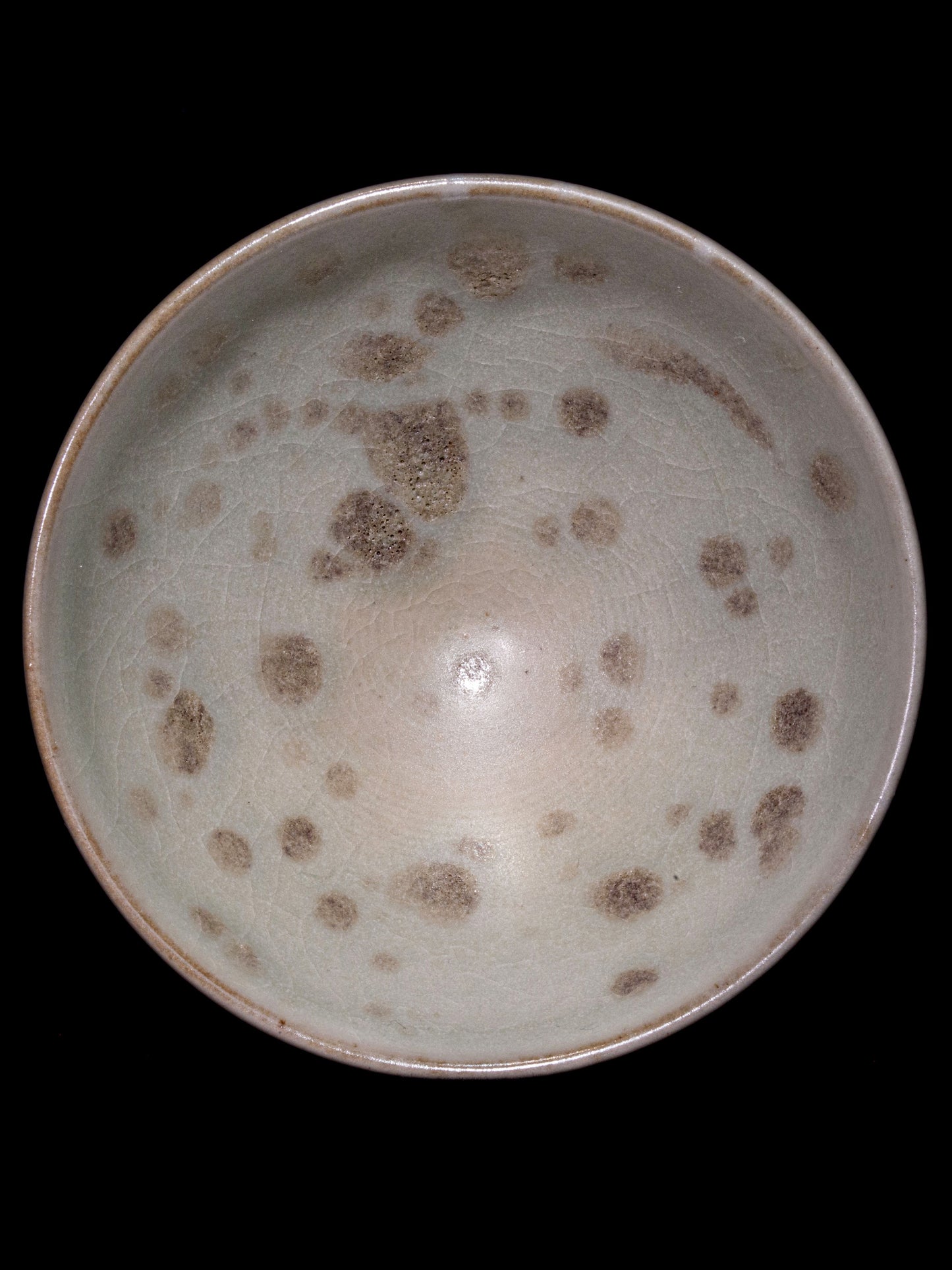 Master Zhao (November 12)