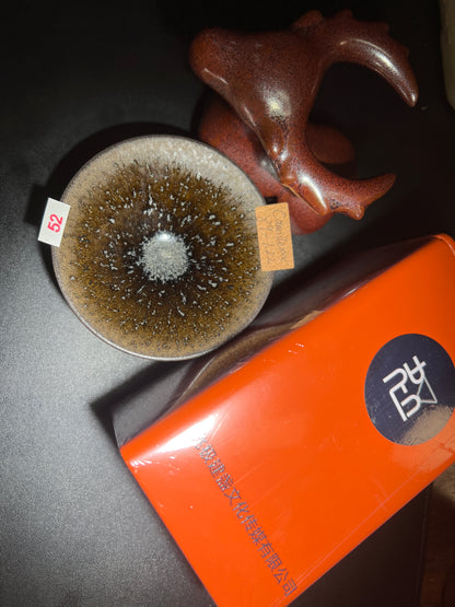 Camillexxx (February)