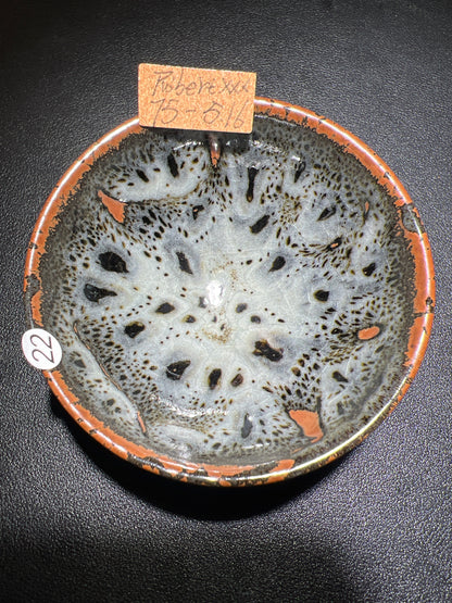 Robertxxx (New - May)