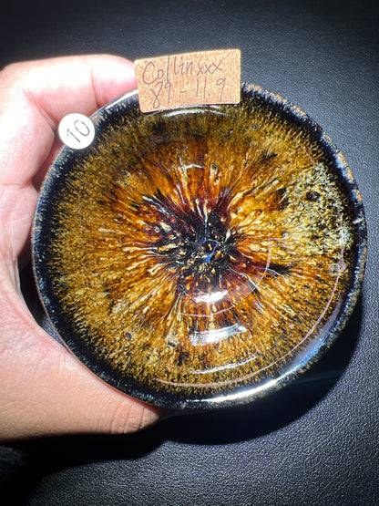 Collinxxx (February)