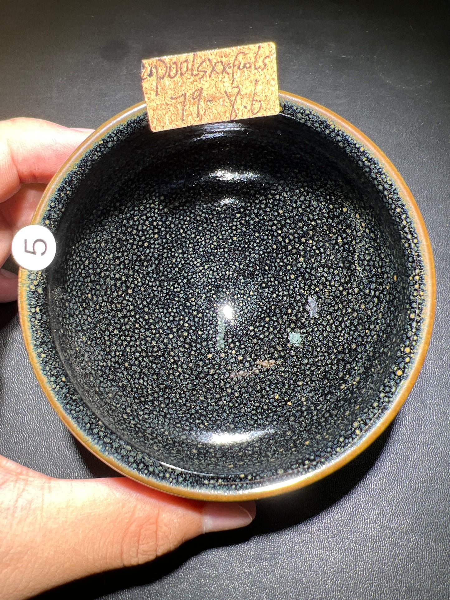 Poolsxxfools (April)