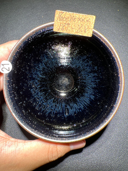 Robertxxx (New - May)