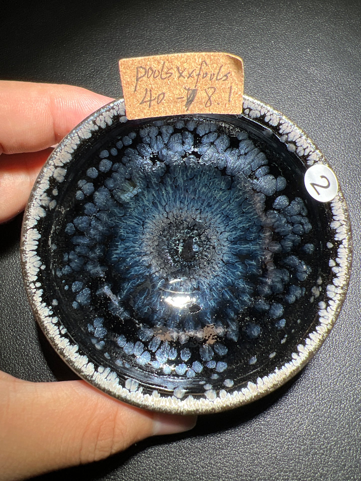 Poolsxxfools (April)