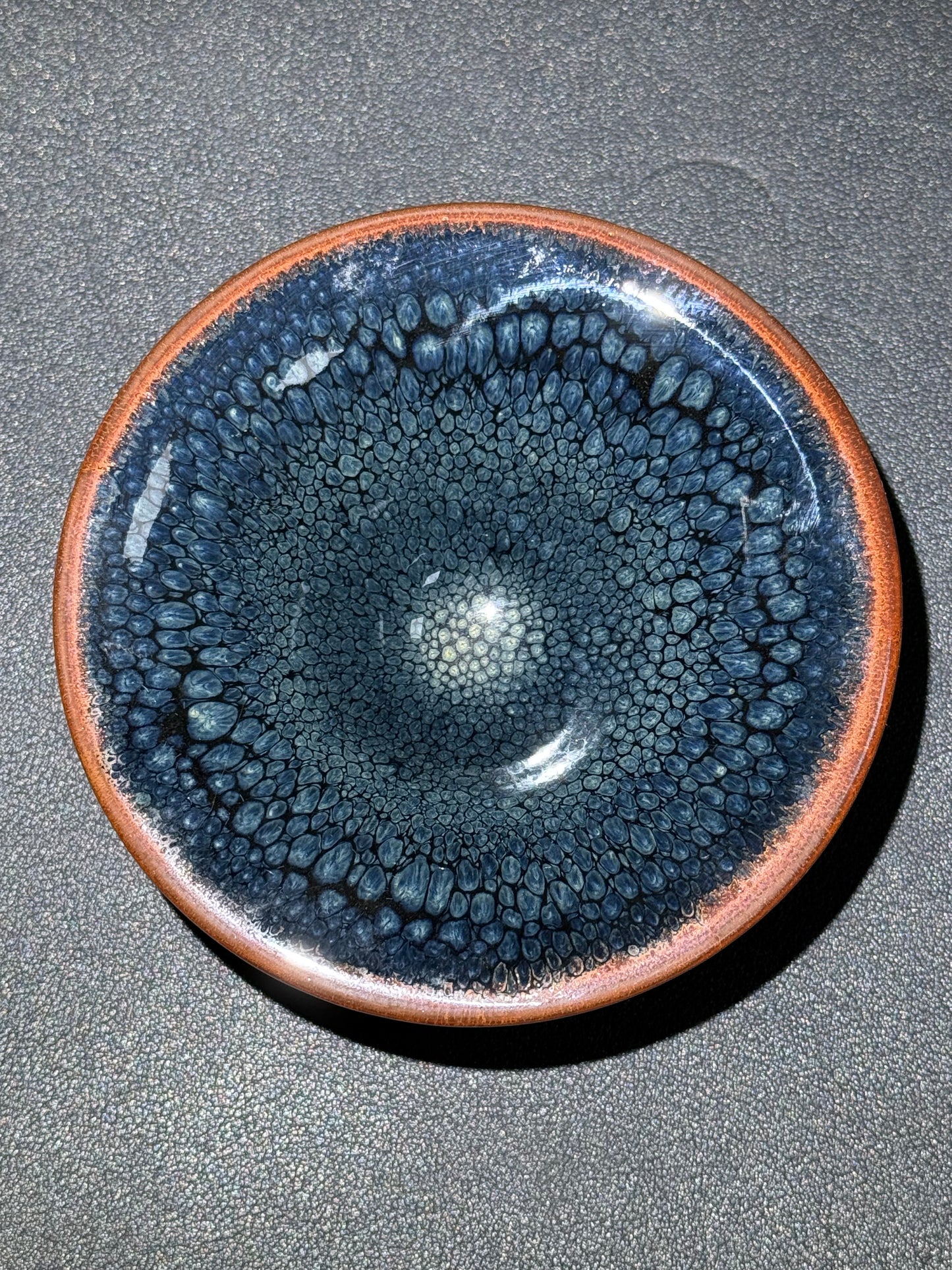 Robertxxx (New - May)