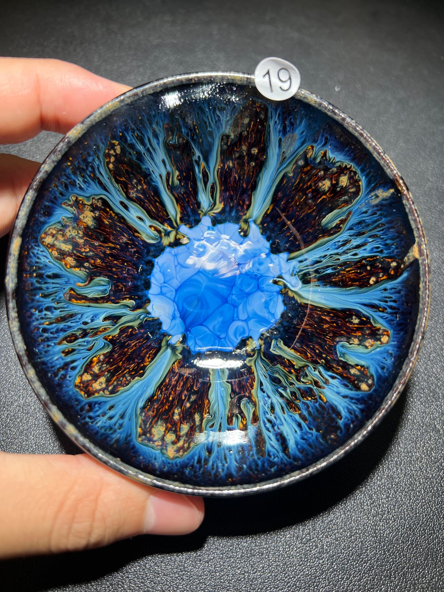 Robertxxx (New - May)