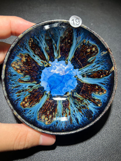 Robertxxx (New - May)