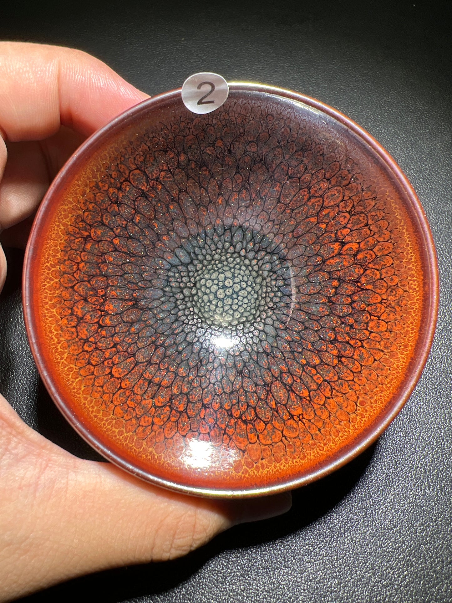 Robertxxx (New - May)