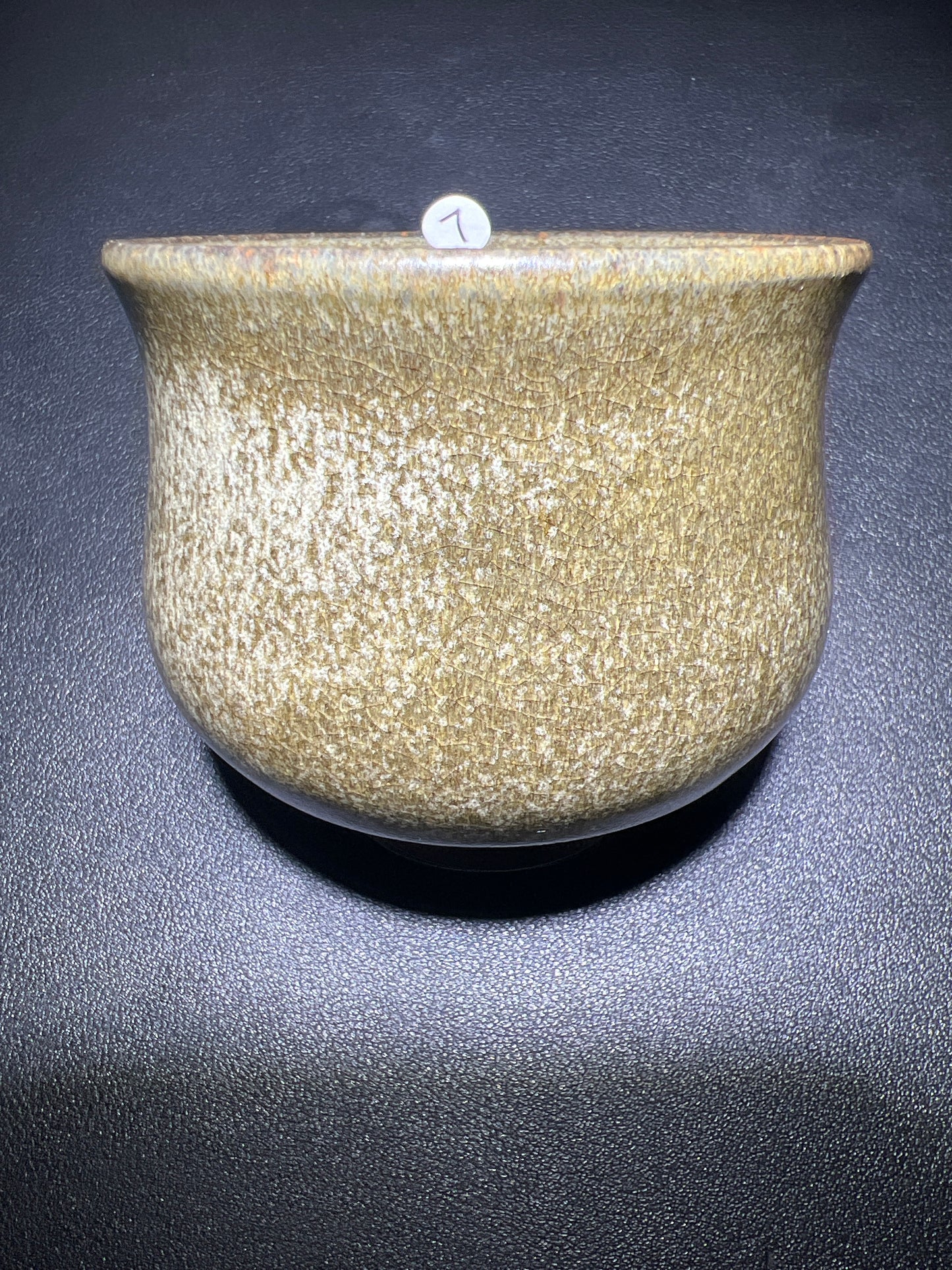 Master Zhao (November 12)