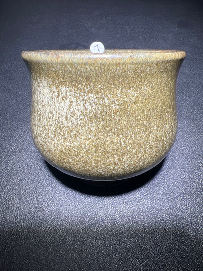 Master Zhao (November 12)