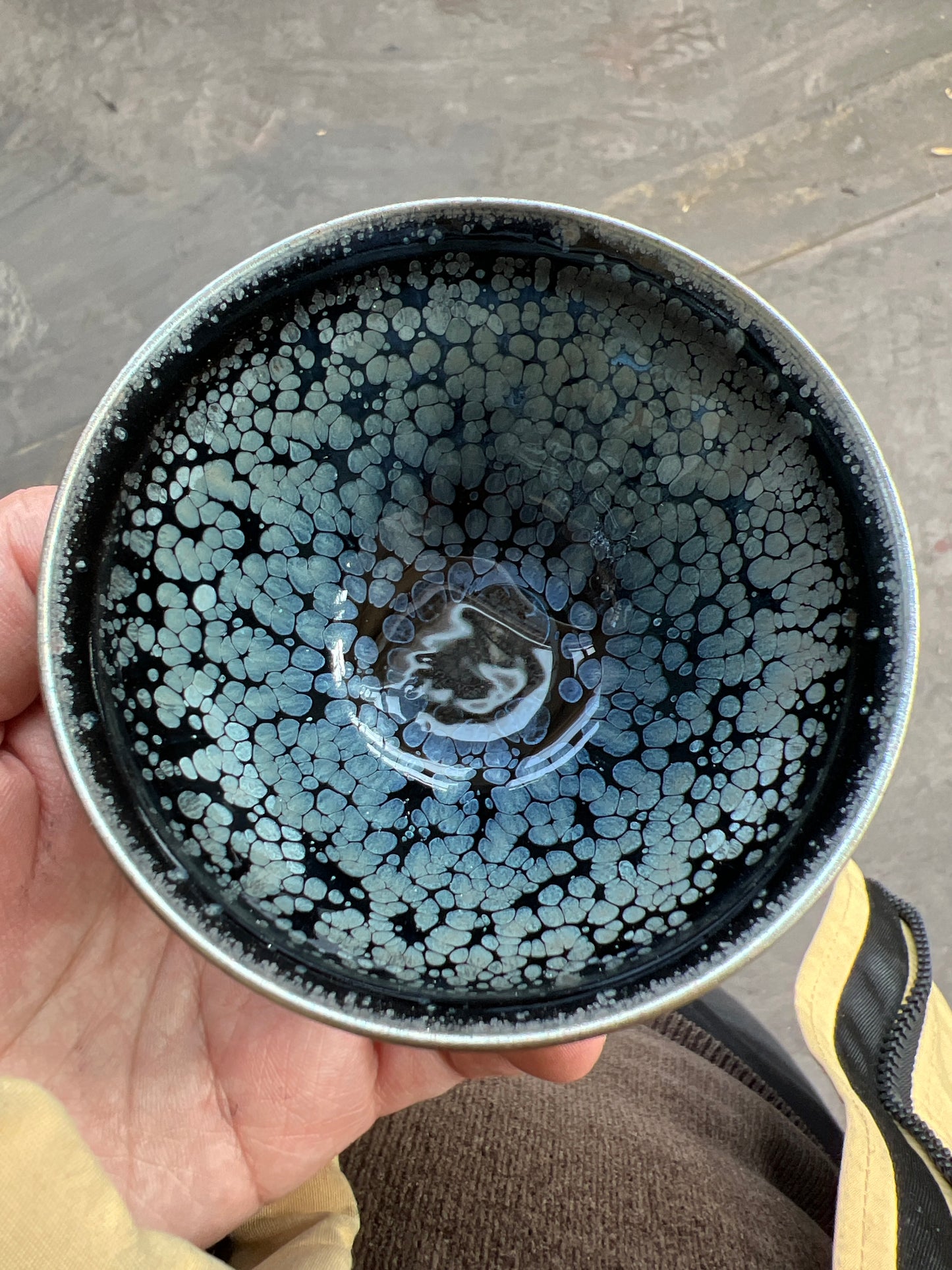 Camillexxx (February)