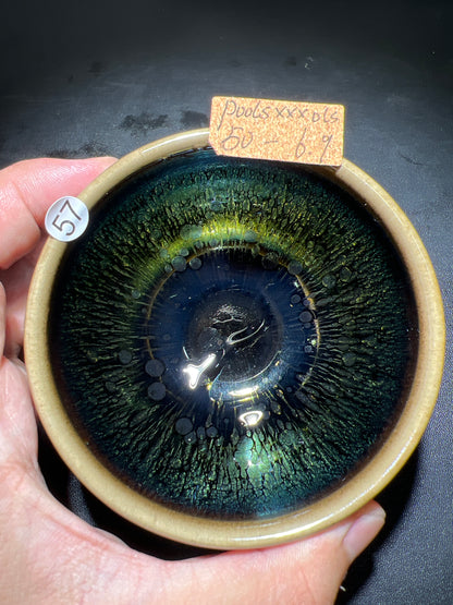 Poolsxxfools (April)