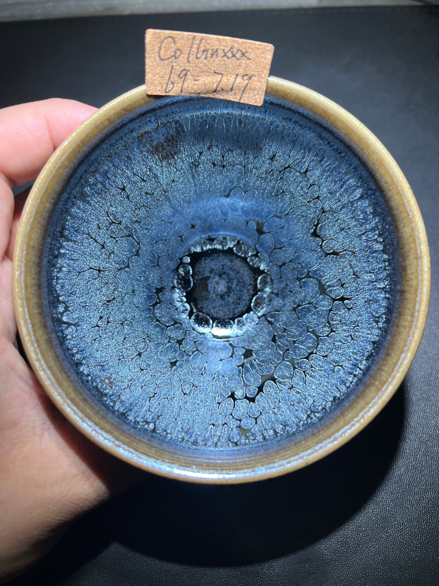 Collinxxx (February)