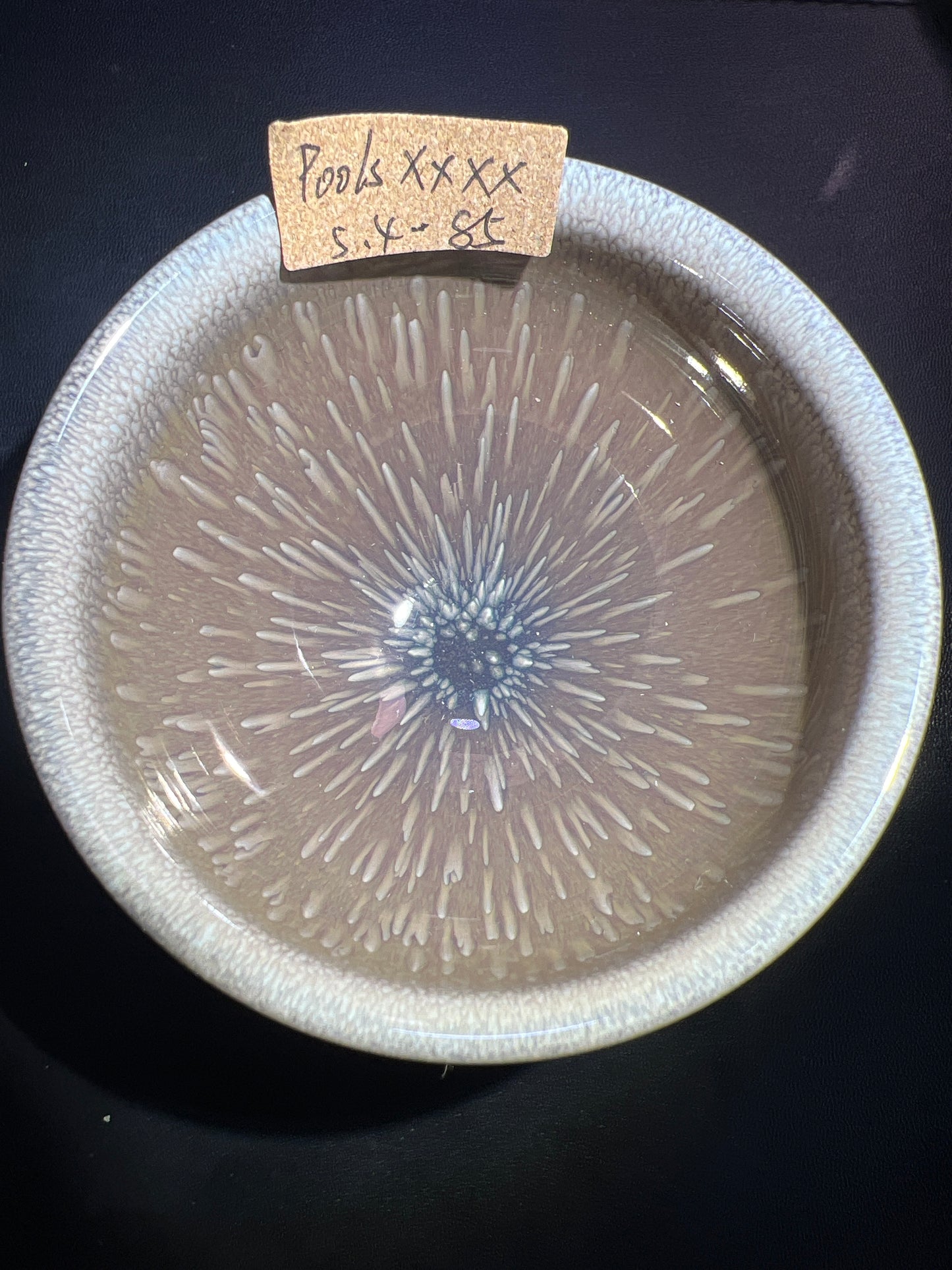 Poolsxxfools (April)