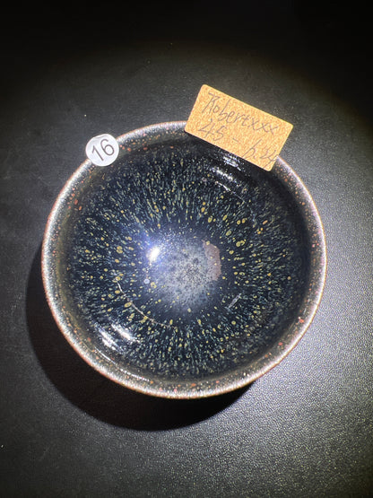 Robertxxx (New - May)