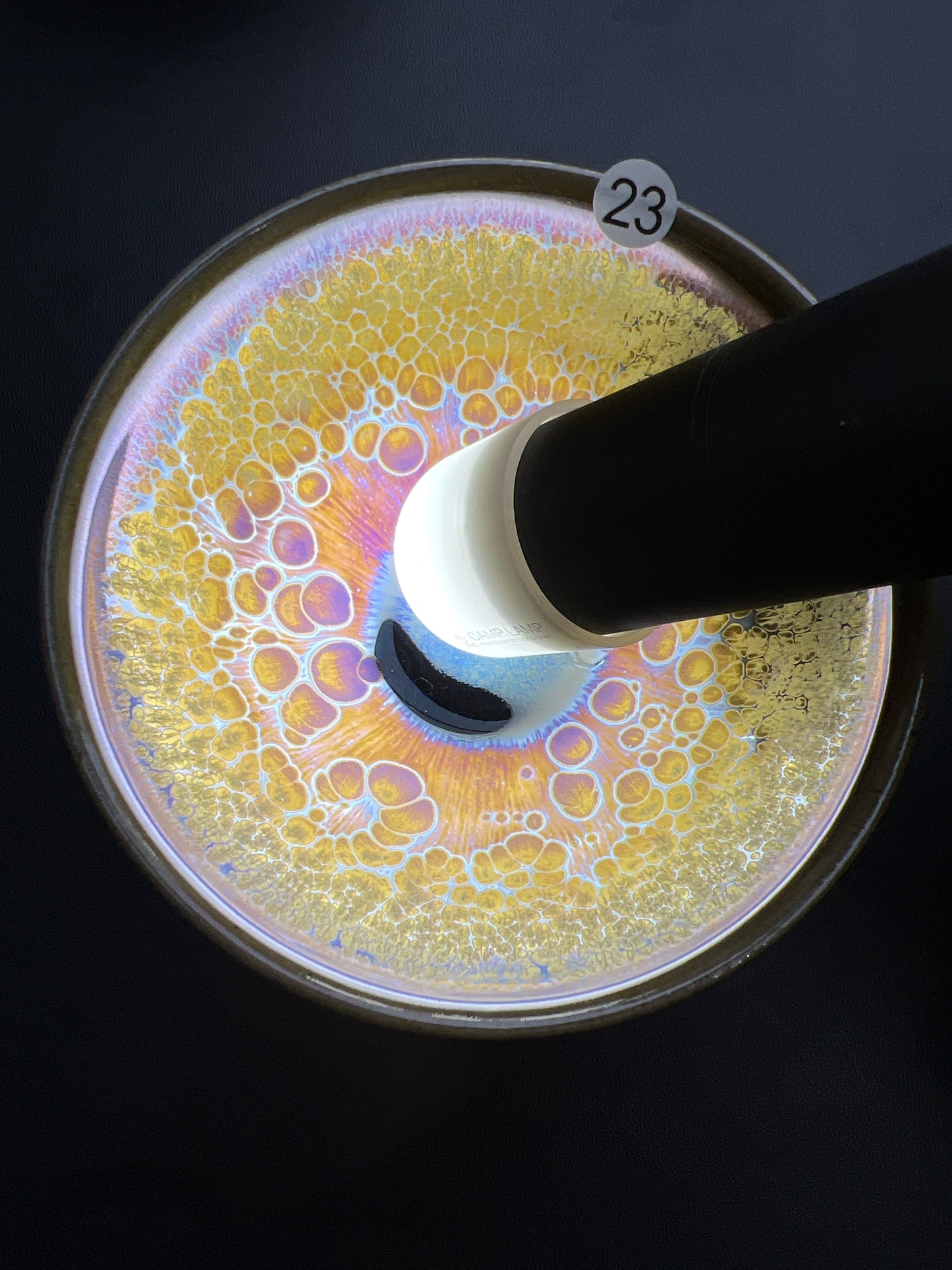 Master Renjun (November 7)