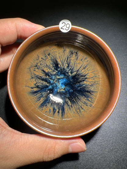 Robertxxx (New - May)