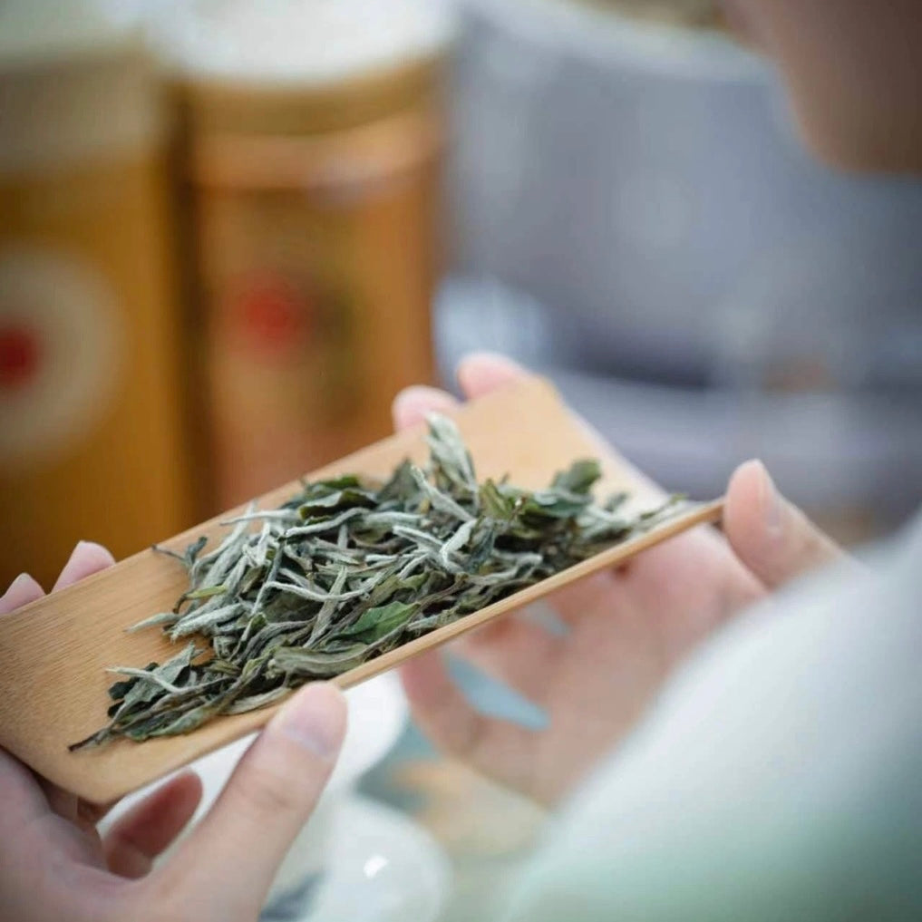 Silver Needle White Tea (50g)