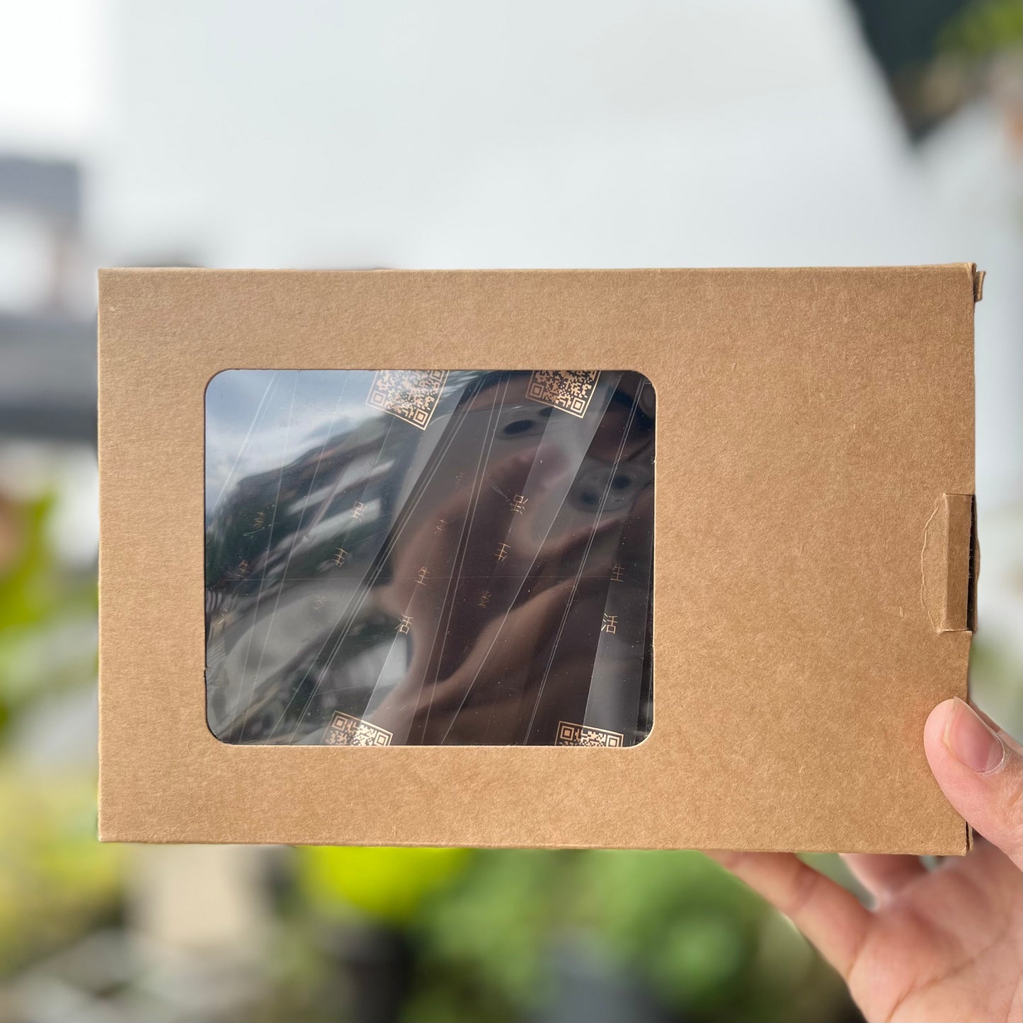 Silver Needle White Tea (60g)