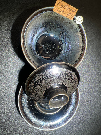 Collinxxx (February)