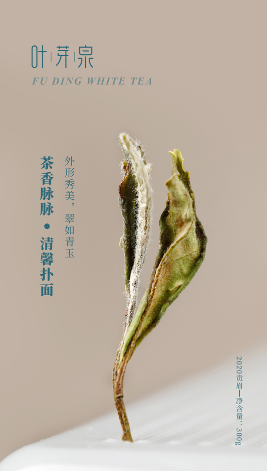 2020 Imperial Eyebrow Gongmei White Tea — Square Tin · 300g