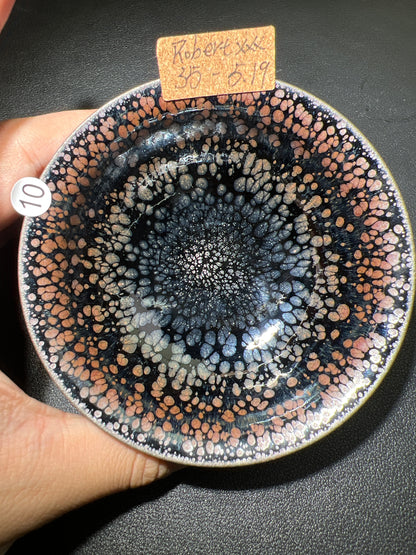 Robertxxx (New - May)