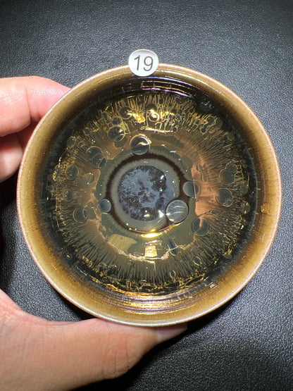 Poolsxxfools (April)