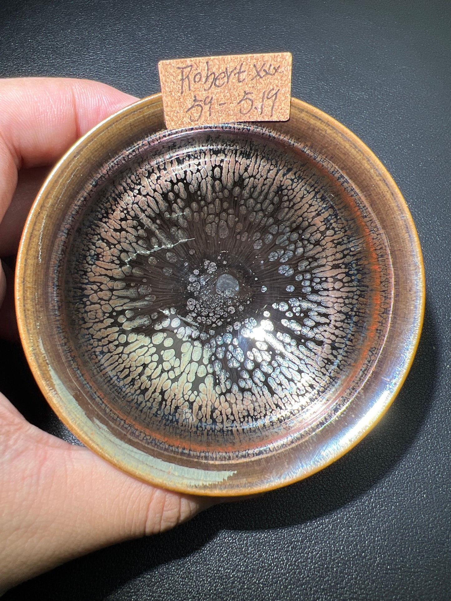 Robertxxx (New - May)