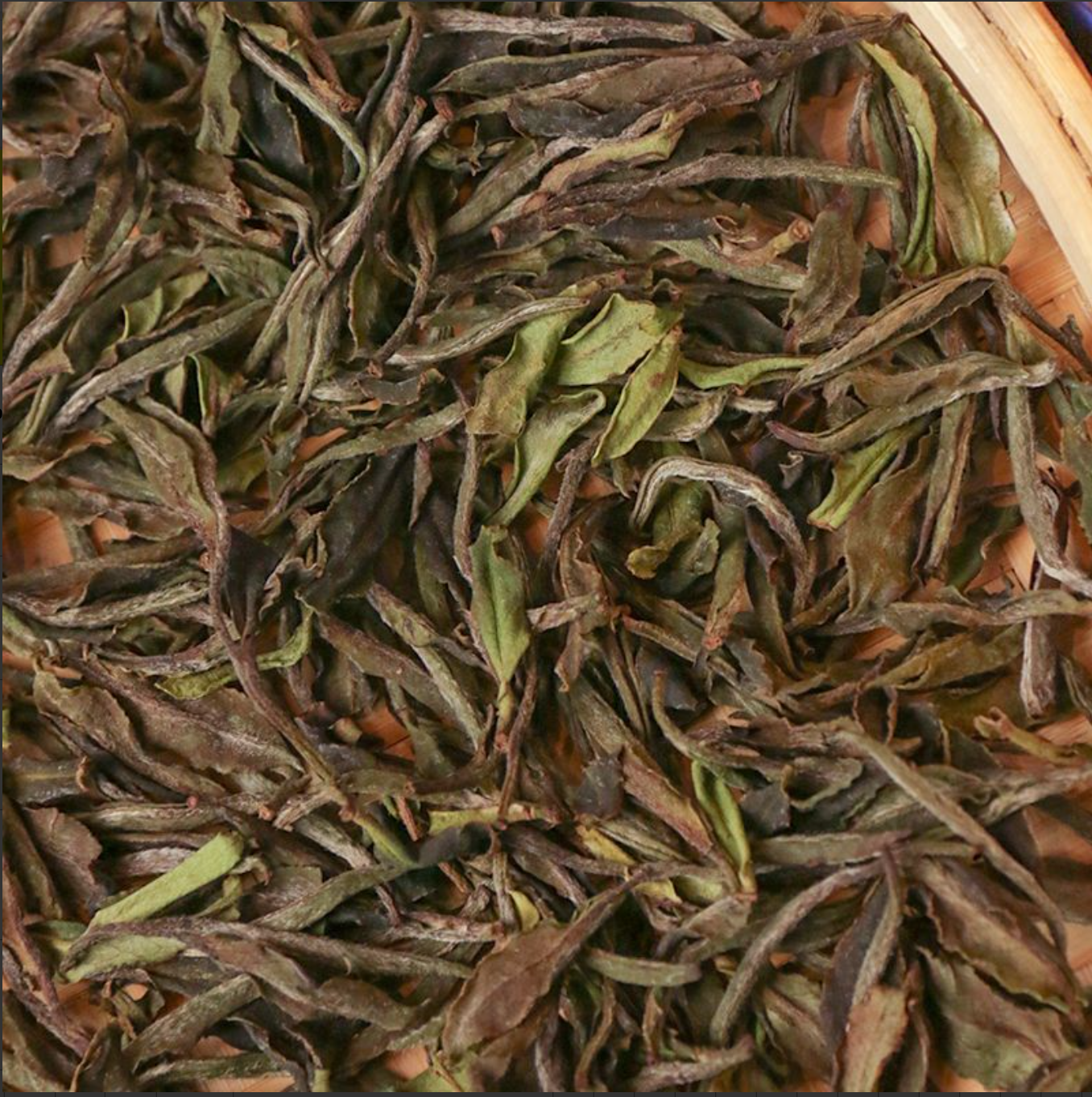 2025 Tungzhou Platinum · Organic Plum Blossom Peony King 50g