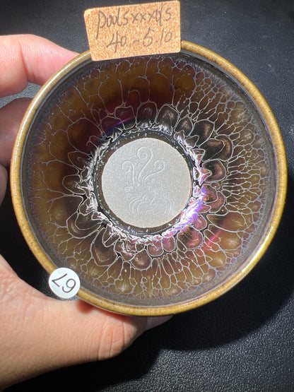 Poolsxxfools (April)