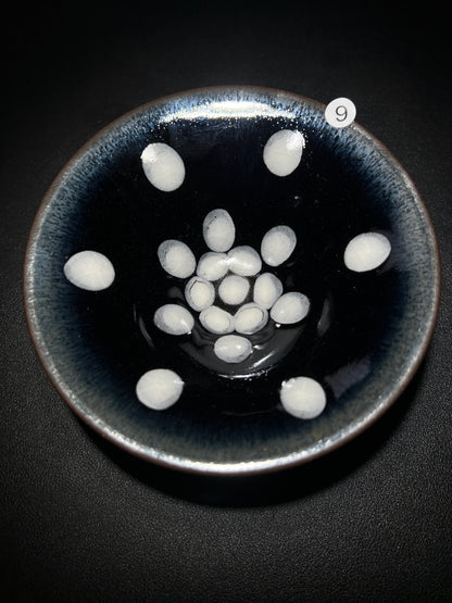 Master Zhao (November 12)