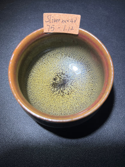 SilvxxSixx (January)